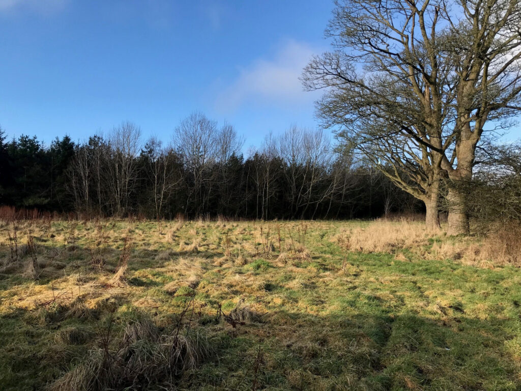 Caskieberran Road,  Glenrothes